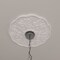 Ekena Millwork Terrones Butterfly Medallion (Canopies up to 3 7/8"), 17 7/8"OD x 3 7/8"ID x 1"P, Primed White CM17TS - alternate 6